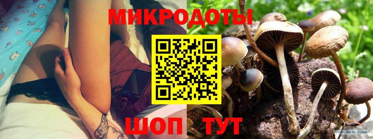 Галлюциногенные грибы Cubensis  Вход с VPN  Корсаков 