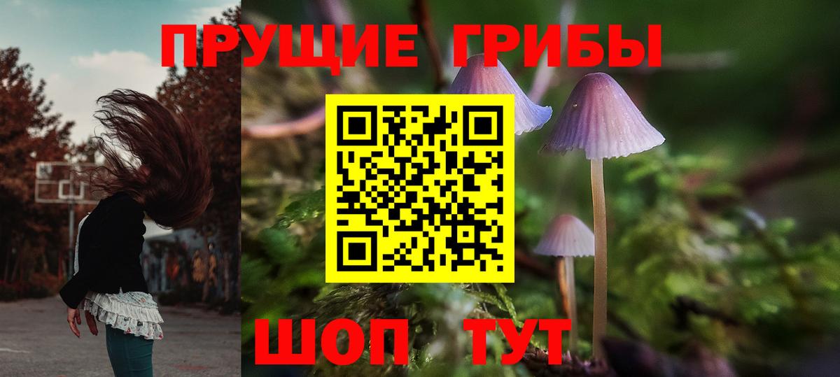 Галлюциногенные грибы мухоморы Корсаков